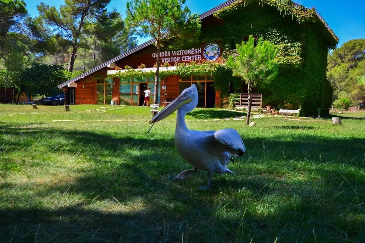 Divjaka Apartament'S & Villas