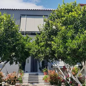 Anila Guest house